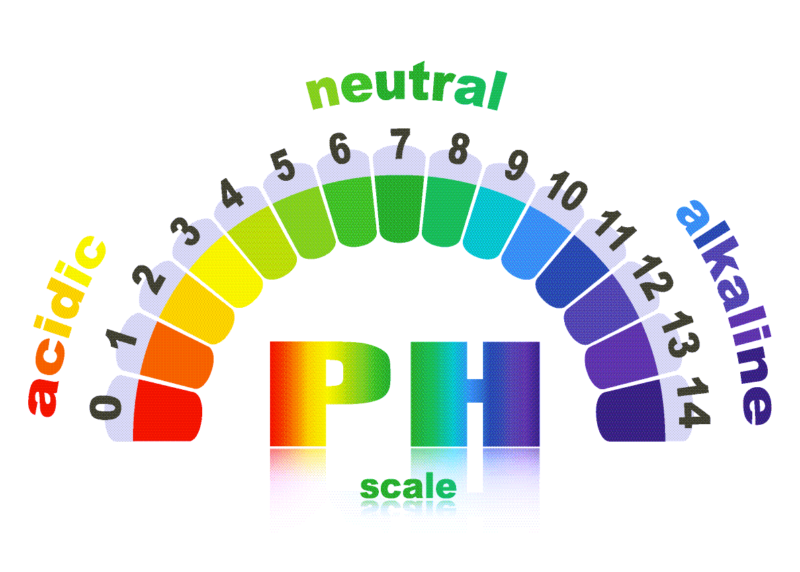 Your Midlife Body Alkalinity Levels Are Vitally Important To Your ...